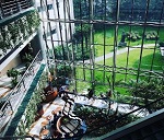 Shanghai Library atrium