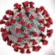 Links to Coronavirus Data Portals