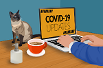 illustration of laptop with COVID-19 Updates text on screen and siamese cat behind it