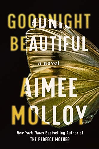 Cover of Aimee Molloy's Goodnight Beautiful (Black background with one butterfly wing, or possibly a moth wing)wing)