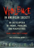 Violence in American Society