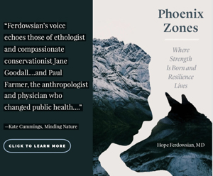 AD: Phoenix Zones