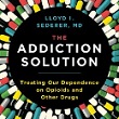 The Addiction Solution