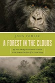 A Forest in the Clouds