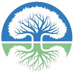 Kline Community Impact Prize Logo (stylized illustration of a large oak tree with roots underneath mirroring trunk and branches above ground)