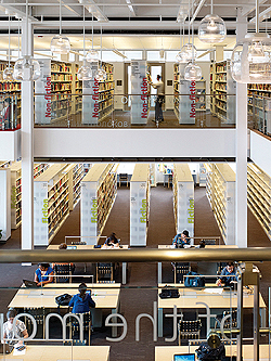 NLLwebPlainsboro(Original Import)